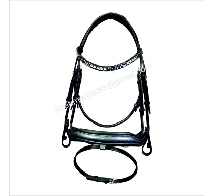 Leather Bridle